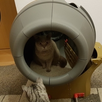 Self cleaning cat toilett / Cat litter box - Thumbnail 3