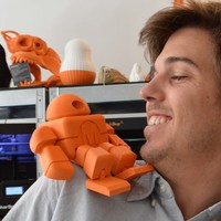Small BIG Maker Faire Robot Action Figure 3D Printing 2705