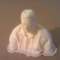 Small My Skanect Scan of Moi 3D Printing 27083