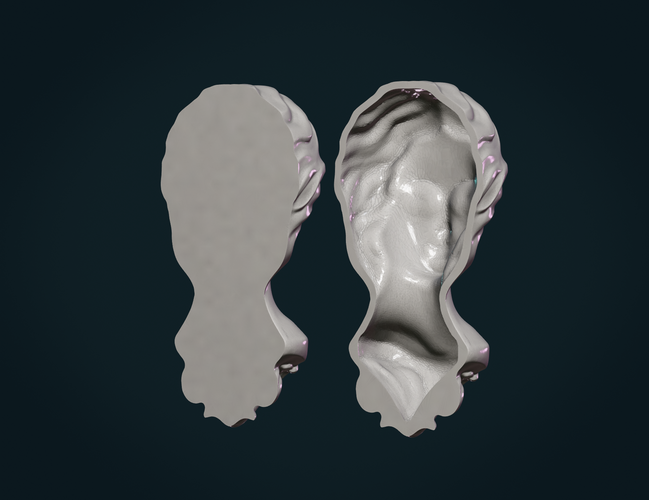 Female Face 3D Print 271164