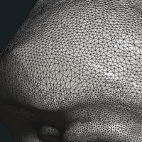 Female Face - Thumbnail 14