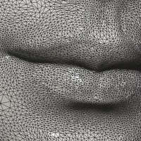 Female Face - Thumbnail 15