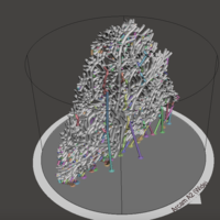 Seafan Coral2 - Thumbnail 1