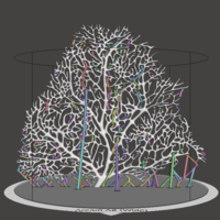 Seafan Coral2 - Thumbnail 2