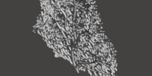 Image 271641