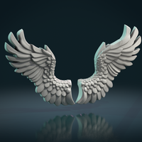 Wings Relief - Thumbnail 2