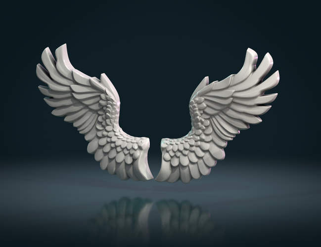 Wings Relief 3D Print 271772