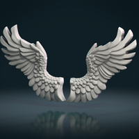 Wings Relief - Thumbnail 4