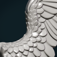 Wings Relief - Thumbnail 13