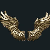 Wings Relief - Thumbnail 17