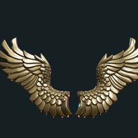 Wings Relief - Thumbnail 18