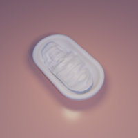 Christmas nativity - Thumbnail 5