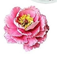 Peonia flor, flower peonia cookies cutter - Thumbnail 2