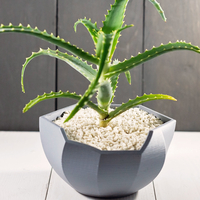 Abstract Planter - Thumbnail 1