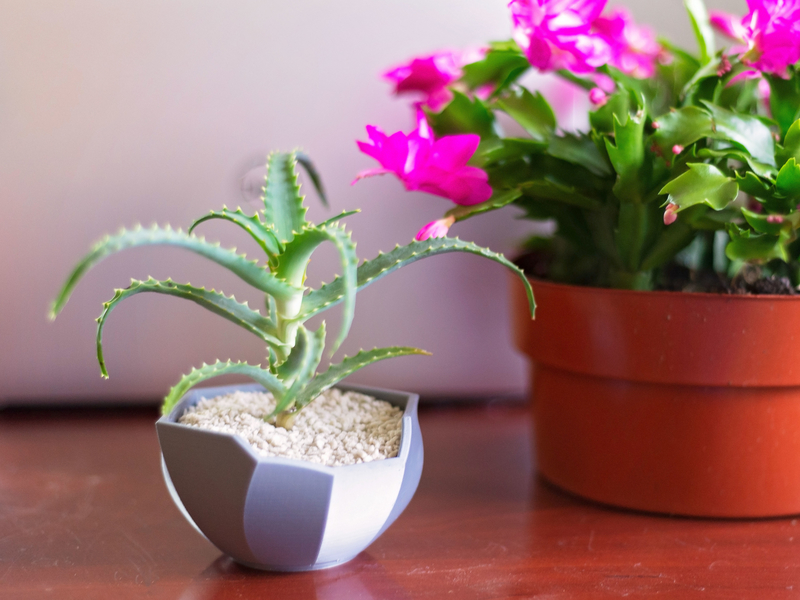 Abstract Planter