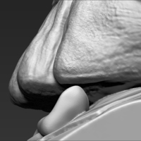 Billy the Puppet from Saw bust 3D printing  - Thumbnail 18