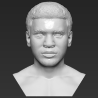 Small Muhammad Ali bust 3D printing ready stl obj 3D Printing 272442