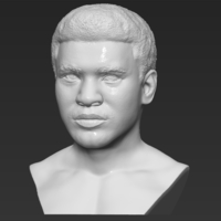 Muhammad Ali bust 3D printing ready stl obj - Thumbnail 2