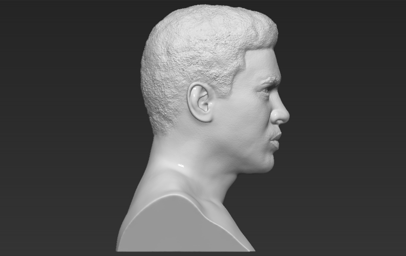 Muhammad Ali bust 3D printing ready stl obj 3D Print 272449