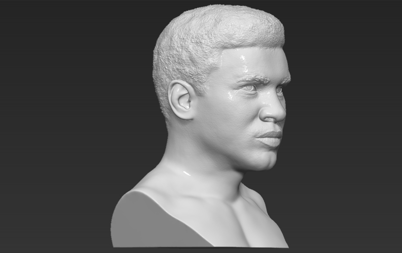 Muhammad Ali bust 3D printing ready stl obj 3D Print 272450