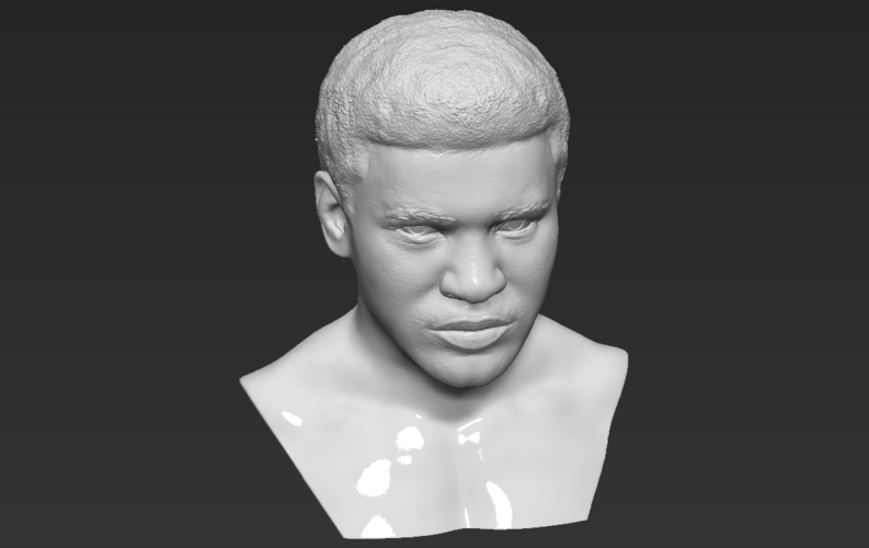 Muhammad Ali bust 3D printing ready stl obj 3D Print 272453