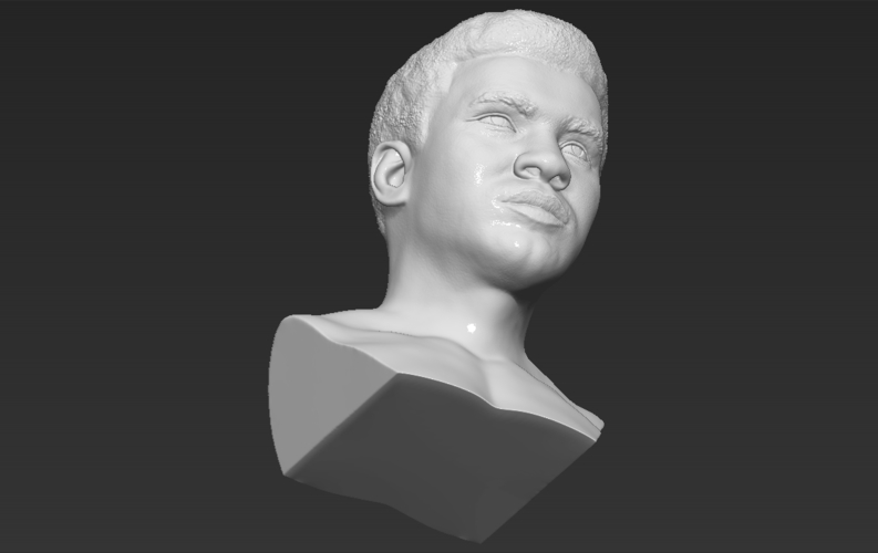 Muhammad Ali bust 3D printing ready stl obj 3D Print 272460