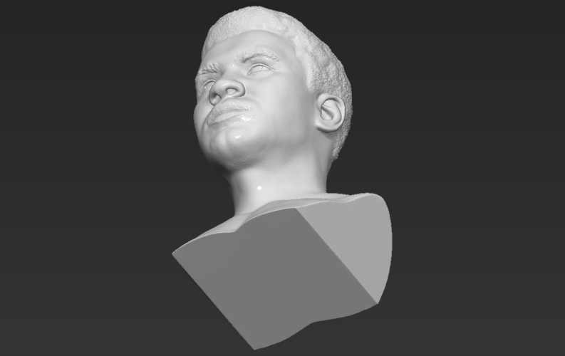 Muhammad Ali bust 3D printing ready stl obj 3D Print 272461