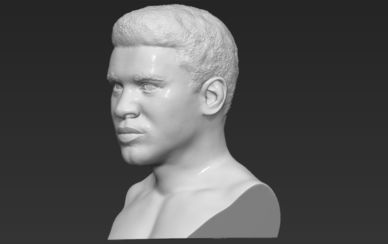 Muhammad Ali bust 3D printing ready stl obj 3D Print 272545