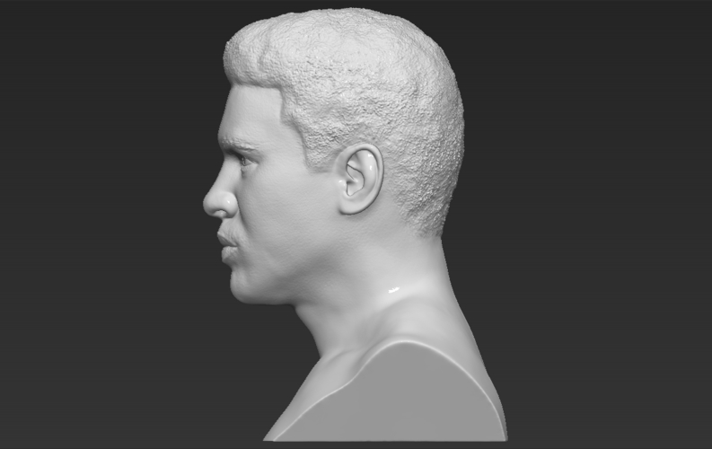 Muhammad Ali bust 3D printing ready stl obj 3D Print 272546