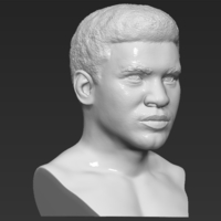 Muhammad Ali bust 3D printing ready stl obj - Thumbnail 11