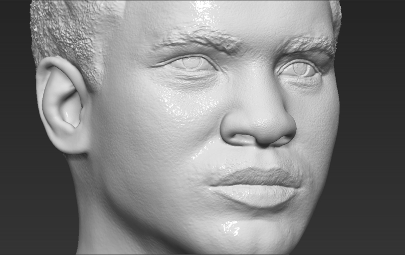 Muhammad Ali bust 3D printing ready stl obj 3D Print 272557