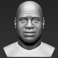 Small Magic Johnson bust 3D printing ready stl obj 3D Printing 272564