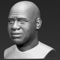 Magic Johnson bust 3D printing ready stl obj - Thumbnail 3