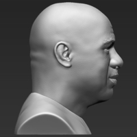 Magic Johnson bust 3D printing ready stl obj - Thumbnail 6