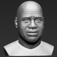 Magic Johnson bust 3D printing ready stl obj - Thumbnail 7