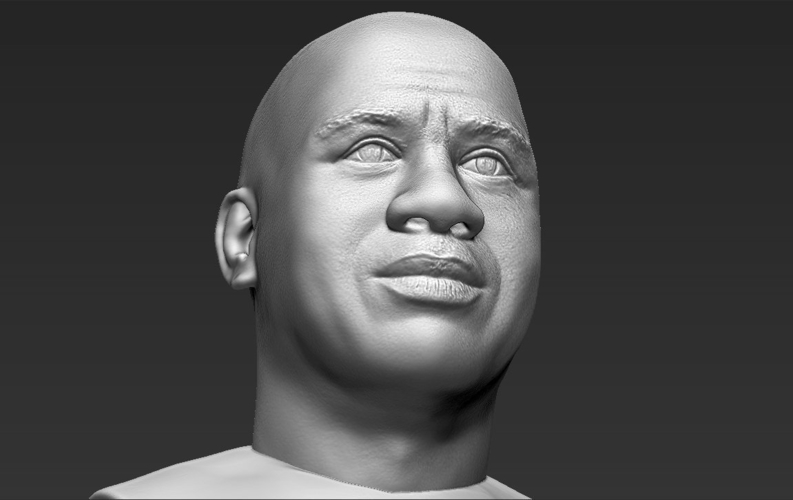 Magic Johnson bust 3D printing ready stl obj 3D Print 272572