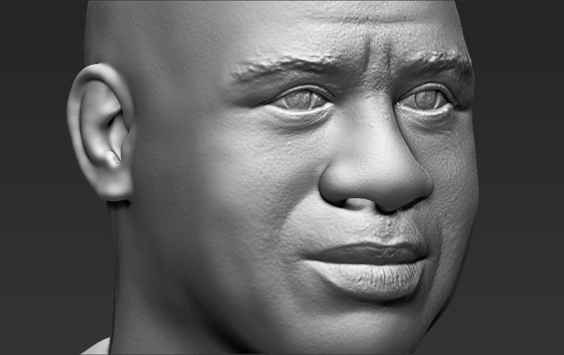 Magic Johnson bust 3D printing ready stl obj 3D Print 272574