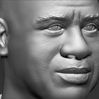 Magic Johnson bust 3D printing ready stl obj - Thumbnail 11