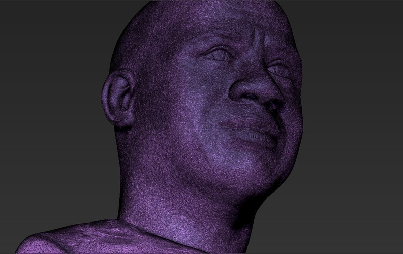 Magic Johnson bust 3D printing ready stl obj 3D Print 272576