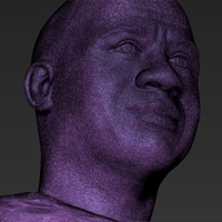 Magic Johnson bust 3D printing ready stl obj - Thumbnail 13