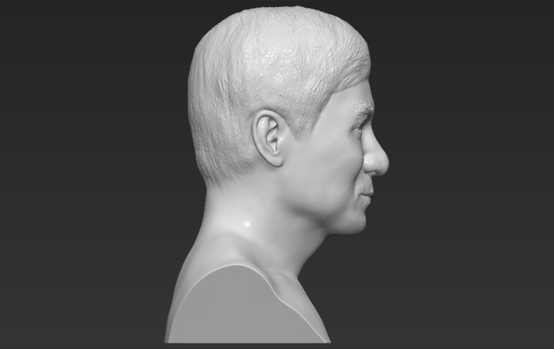 Jackie Chan bust 3D printing ready stl obj 3D Print 272628