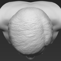 Jackie Chan bust 3D printing ready stl obj - Thumbnail 14