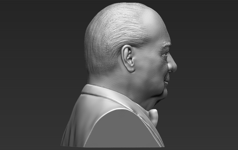 Winston Churchill bust 3D printing ready stl obj 3D Print 272676