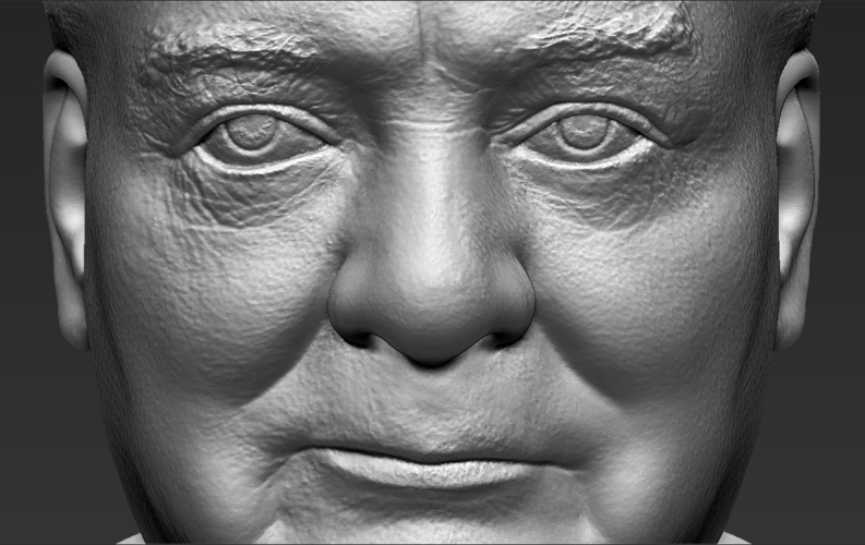 Winston Churchill bust 3D printing ready stl obj 3D Print 272684