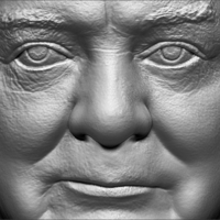 Winston Churchill bust 3D printing ready stl obj - Thumbnail 16