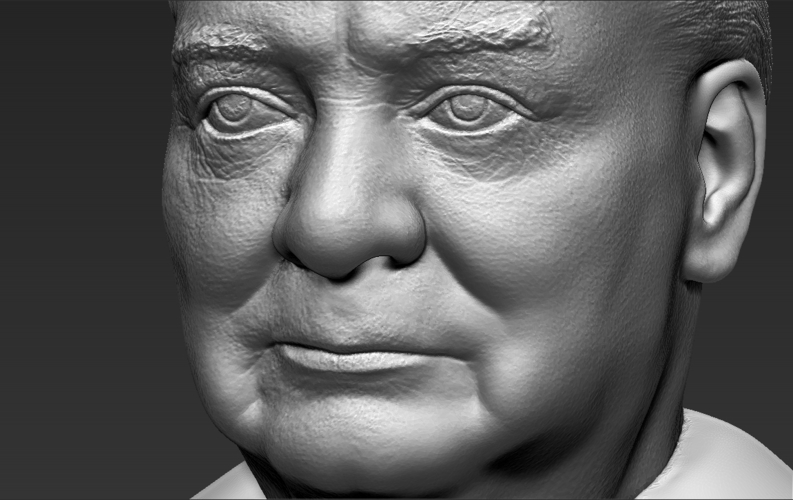Winston Churchill bust 3D printing ready stl obj 3D Print 272686