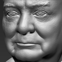 Winston Churchill bust 3D printing ready stl obj - Thumbnail 18