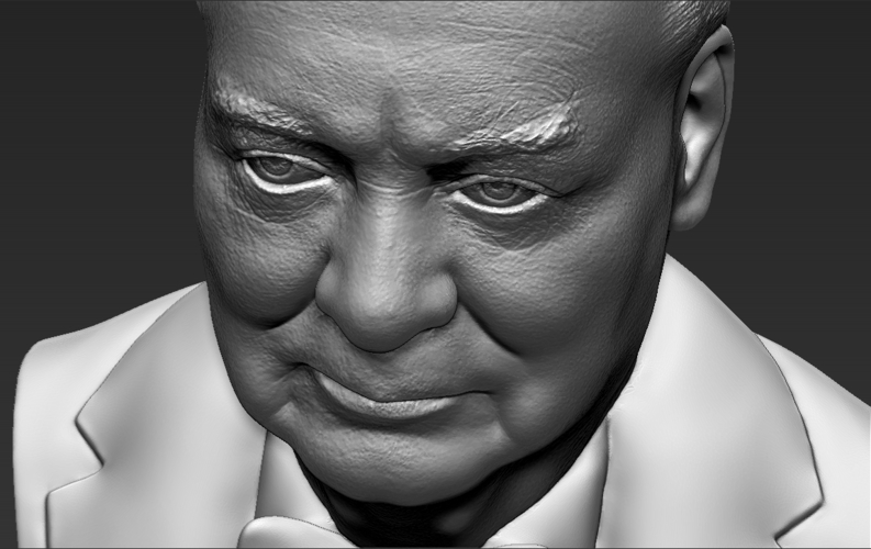 Winston Churchill bust 3D printing ready stl obj 3D Print 272687