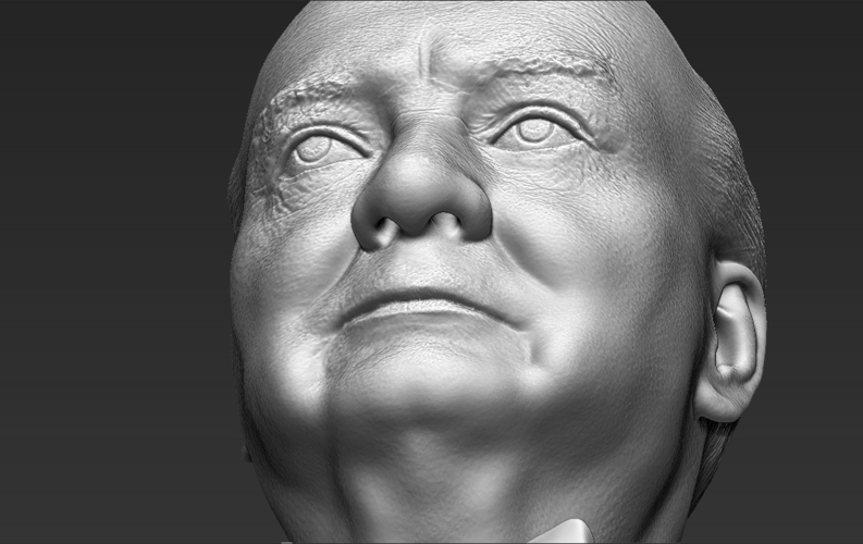Winston Churchill bust 3D printing ready stl obj 3D Print 272688