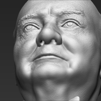 Winston Churchill bust 3D printing ready stl obj - Thumbnail 20